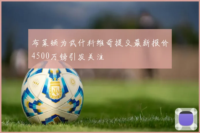 布莱顿为武什科维奇提交最新报价4500万镑引发关注