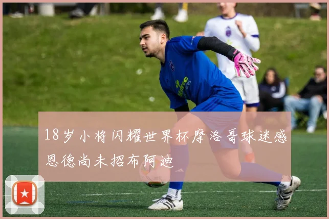 18岁小将闪耀世界杯摩洛哥球迷感恩德尚未招布阿迪