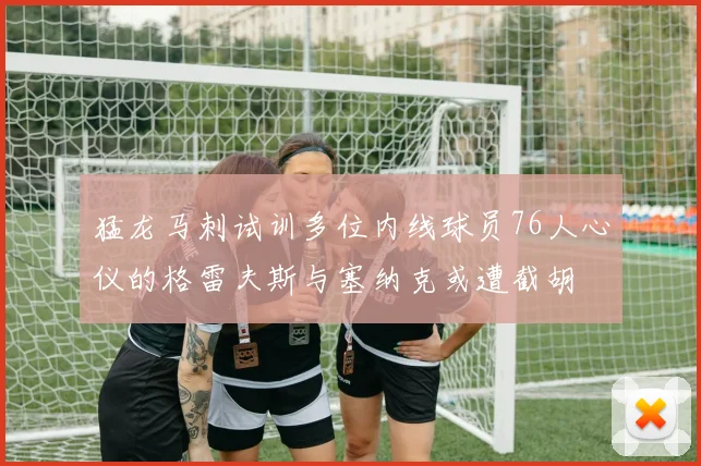 猛龙马刺试训多位内线球员76人心仪的格雷夫斯与塞纳克或遭截胡